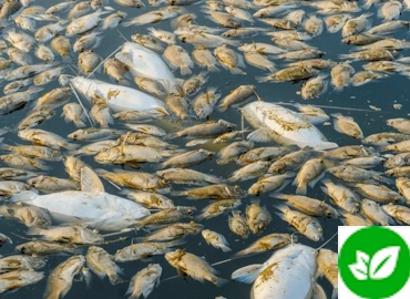 Recolección de Residuos de animales