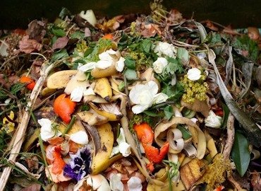 Desechos orgánicos y restos vegetales recolectados para la gestión de residuos sólidos en Bogotá sostenible.